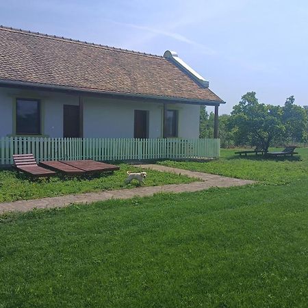 Villa Diiva Curug Pokój zdjęcie