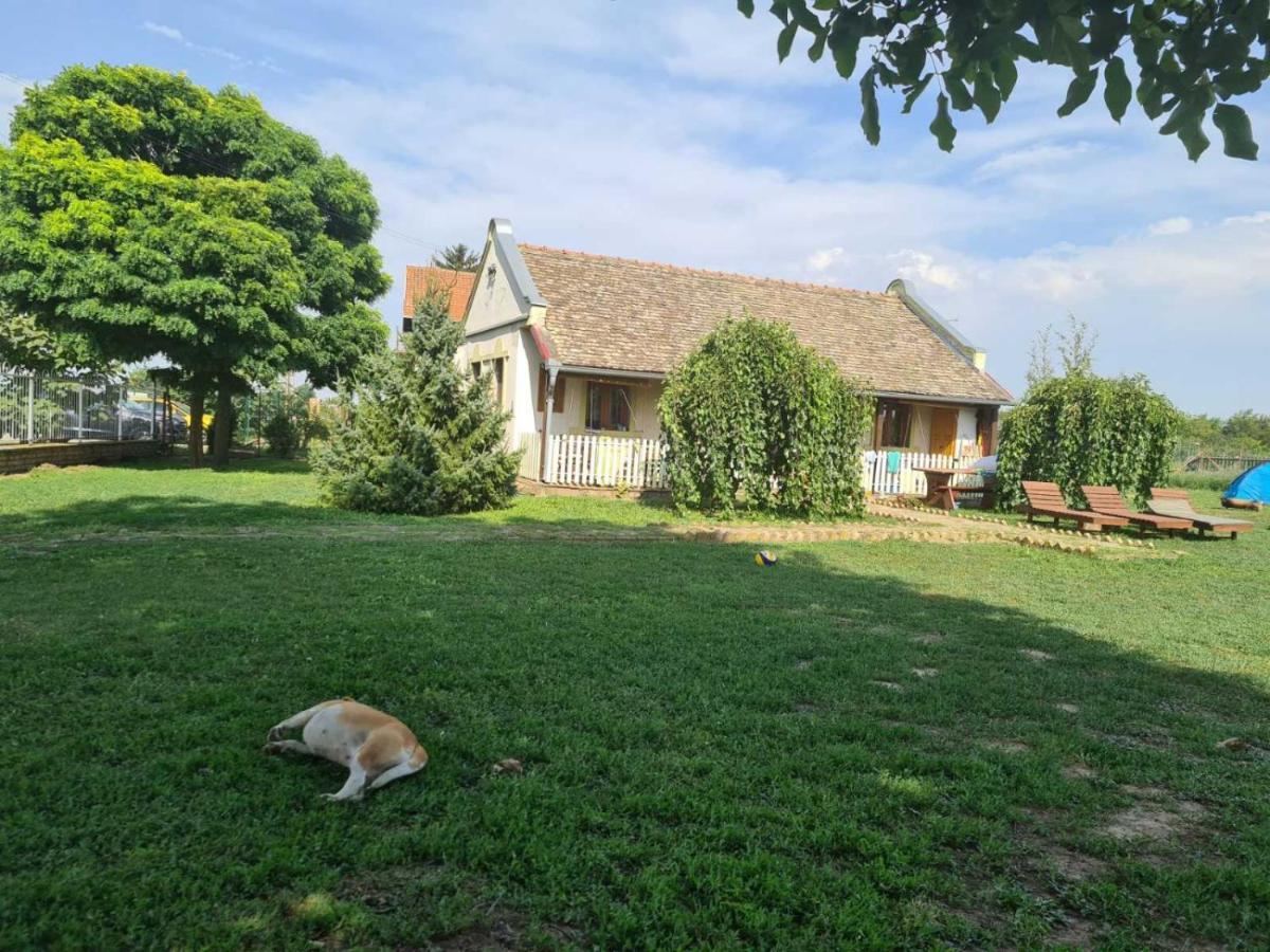 Villa Diiva Curug Zewnętrze zdjęcie