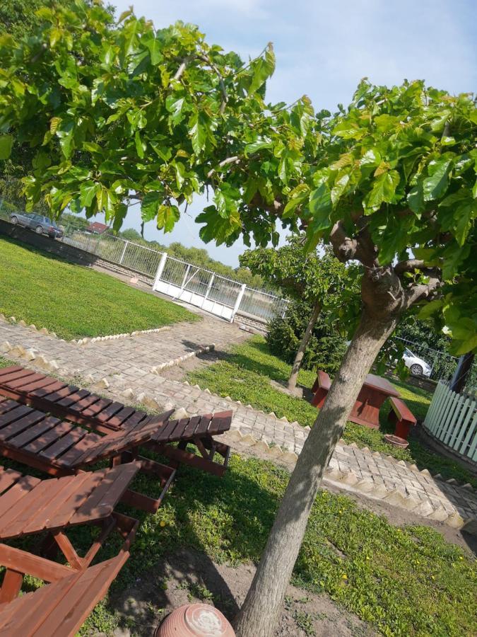Villa Diiva Curug Zewnętrze zdjęcie