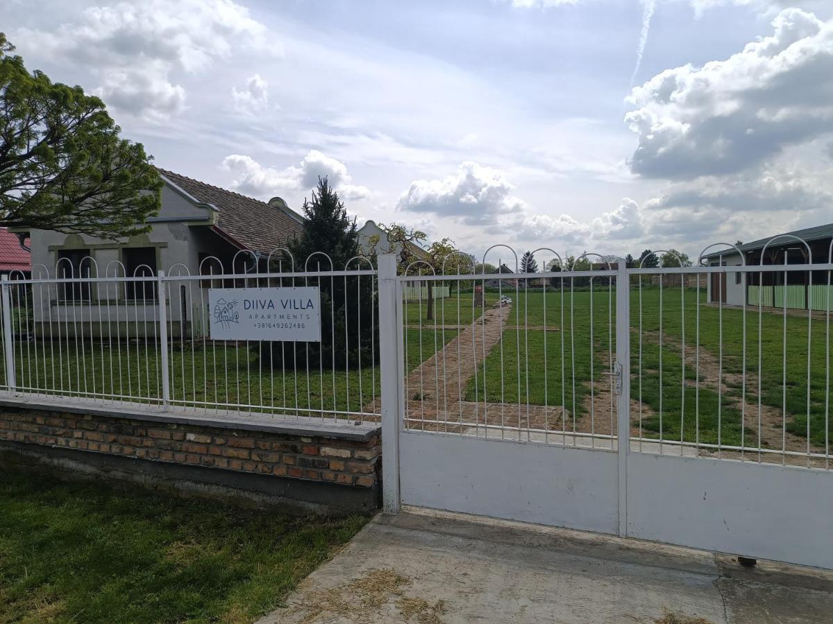 Villa Diiva Curug Zewnętrze zdjęcie
