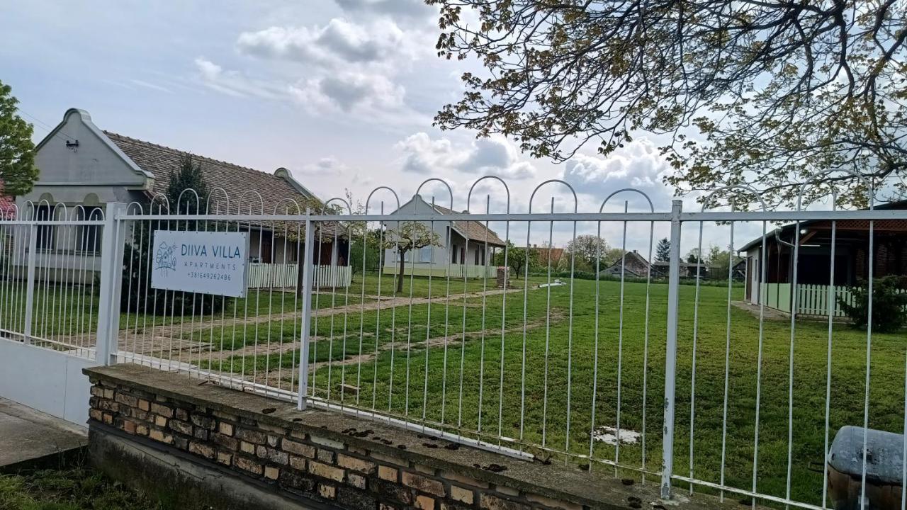 Villa Diiva Curug Zewnętrze zdjęcie